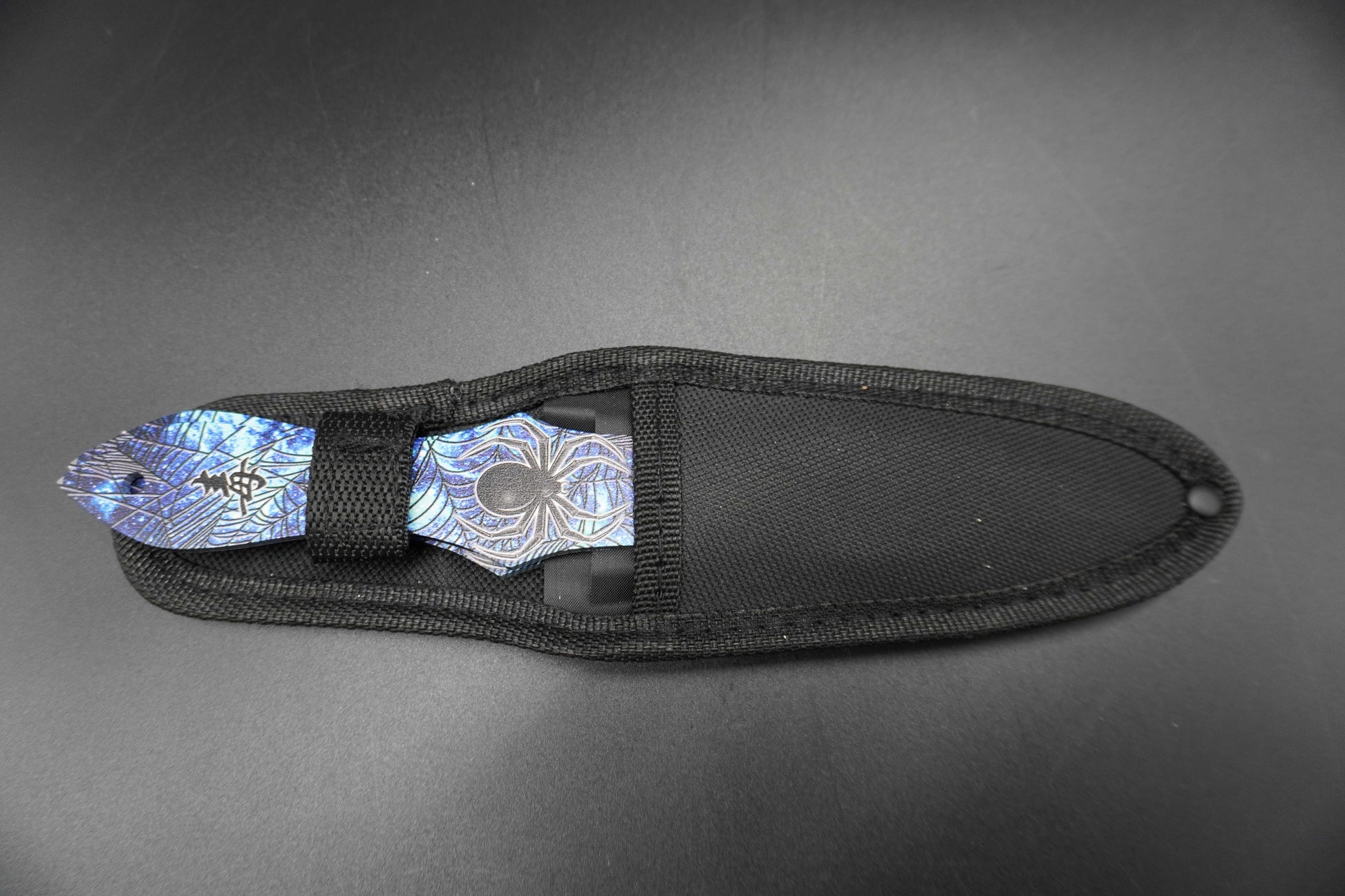 Black sheath with decorative metal clip on a gray background